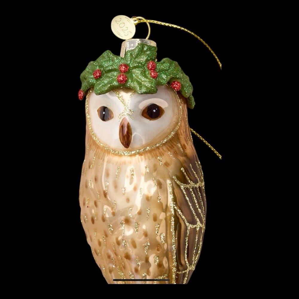 John Derian For Target  Owl With Laurel Glass Ornament 2025 - New In Box - Picture 7 of 9